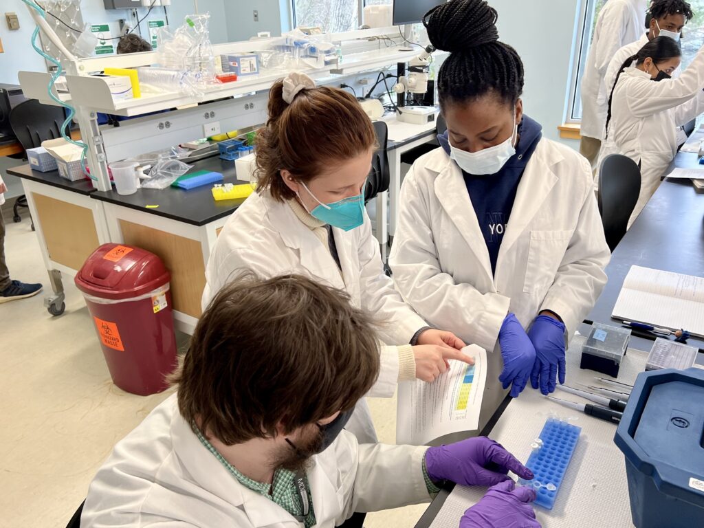 Students learning in the lab